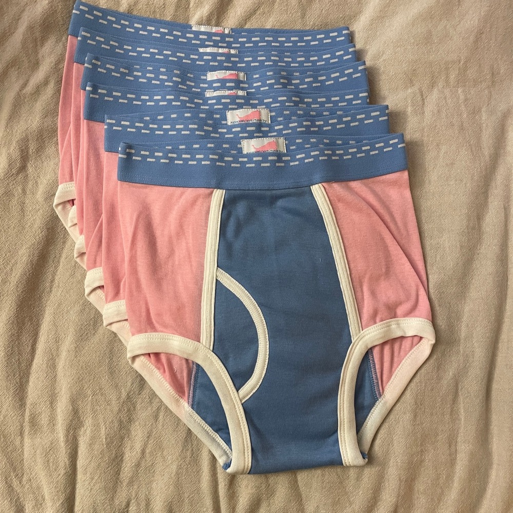 Deadstock 6 Pack Tiger Briefs Boys Size 14-16 Pink Blue Colorblock Underwear